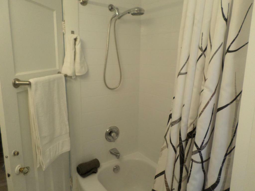 Beautiful, Clean, Quiet 2 Br-In Downtown Ottawa. Parking, Wifi And Netflix Included Apartment Екстериор снимка